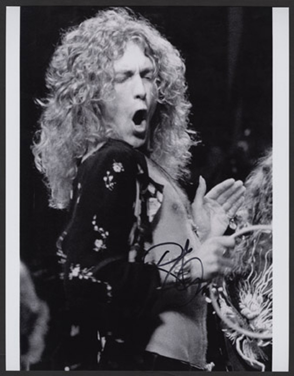 Lot Detail Robert Plant Signed Original Photograph