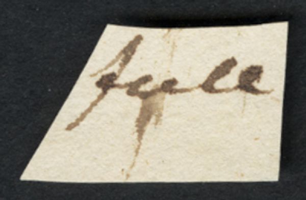 Andrew Jackson Handwritten Word