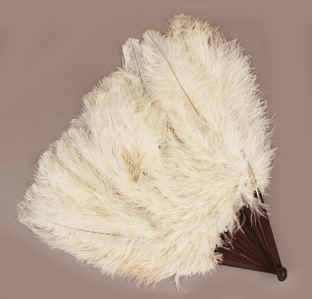 Antique Ostrich Feather Fan