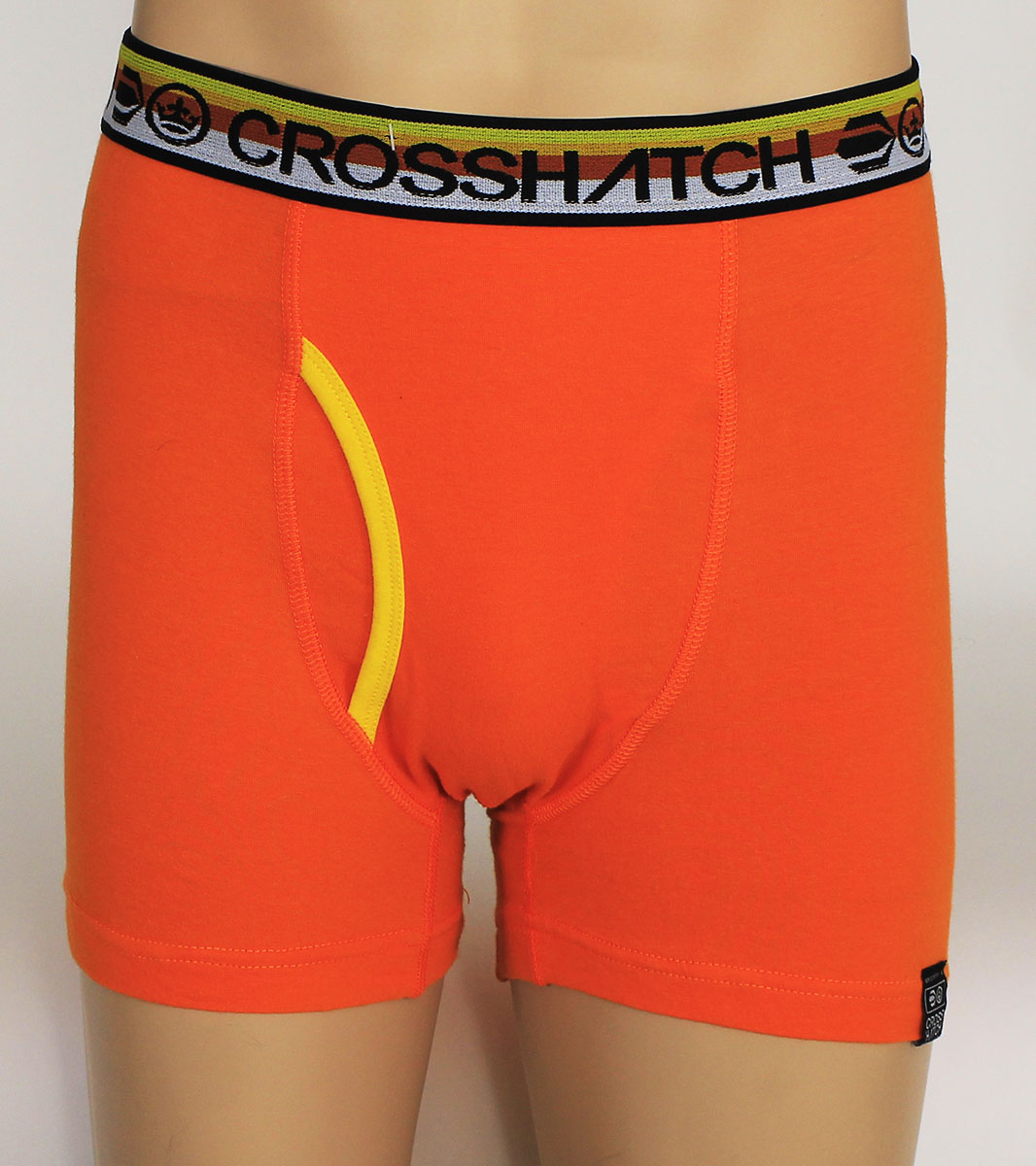 Lot Detail - Ed Sheeran Worn Crosshatch Boxer Shorts