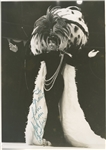 Josephine Baker Signed Photograph