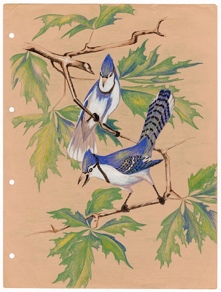 KISS Ace Frehley Personally Owned Hand Drawn 1967 Blue Jays in A Tree High School Art Assignment