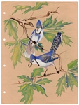 KISS Ace Frehley Personally Owned Hand Drawn 1967 Blue Jays in A Tree High School Art Assignment