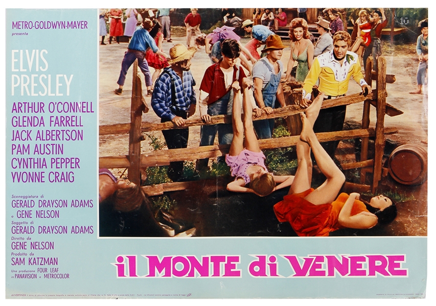 Elvis Presley Very Rare "il Monte di Venere" Original Italian Movie Poster (Kissin Cousins)