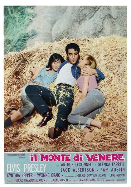 Elvis Presley Very Rare "il Monte di Venere" Original Italian Movie Poster (Kissin Cousins)