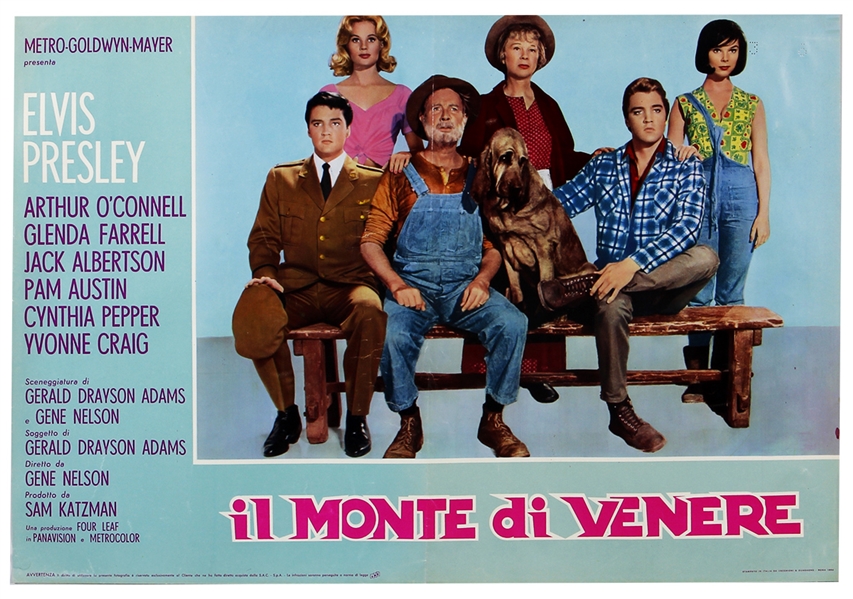 Elvis Presley Very Rare "il Monte di Venere" Original Italian Movie Poster (Kissin Cousins)