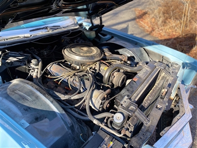 Elvis Presley's 1975 Cadillac Eldorado Gifted To Back-Up Singer Myrna Smith